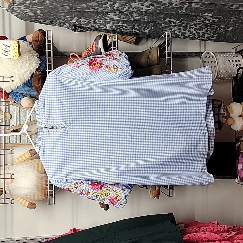 Unbranded Gingham Blue Balloon Short Sleeve Embroider Blouse Size Large - Picture 6 of 7